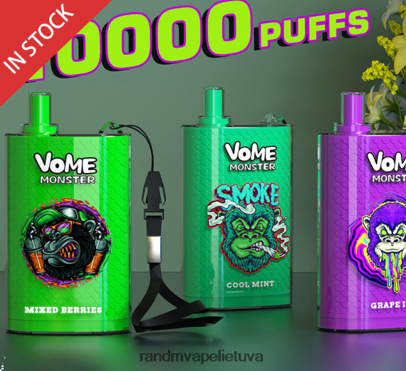RandM Vome Monster 10000 oro srauto valdymo vape pod prietaisas 1vnt sodrus ledas RandM vape Lietuva - FPX6RL277