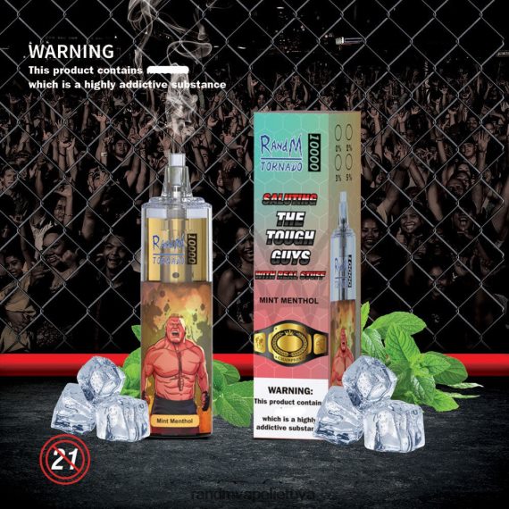 RandM Tornado 10000 oro srauto valdymo vape prietaisas 1vnt mėtų mentolis RandM tornado kaina - FPX6RL110