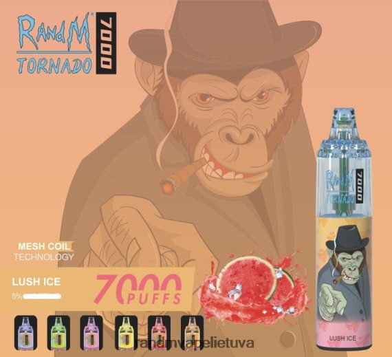 RandM Tornado 7000 oro srauto valdymo vape prietaisas 1vnt mango ant ledo RandM tornado kaina - FPX6RL170