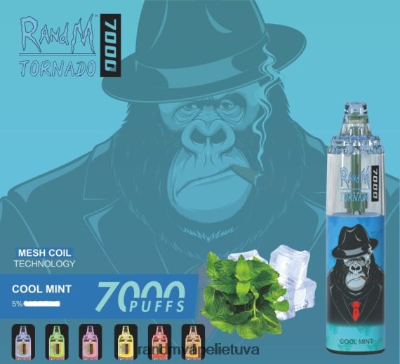 RandM Tornado 7000 oro srauto valdymo vape prietaisas 1vnt mango ant ledo RandM tornado kaina - FPX6RL170